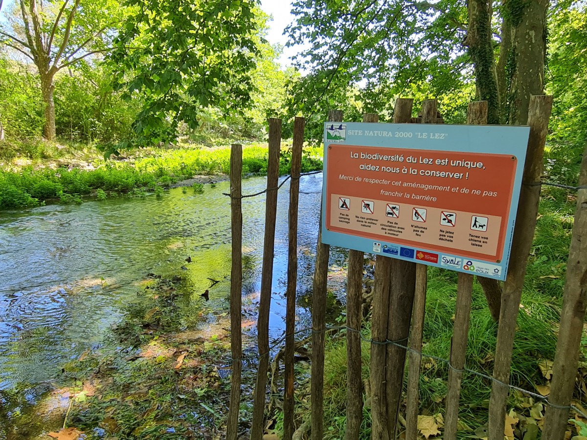 Rivière Lez polluée : Quand les vignerons de la commune de Prades-le-Lez polluent le bien&nbsp;municipal